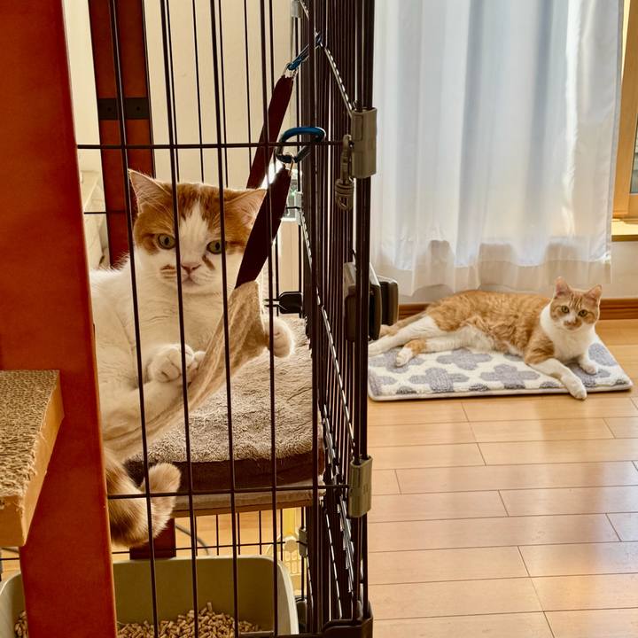 735e894b 0a0d 4887 887b d5d6b0f1efed 1772326851682