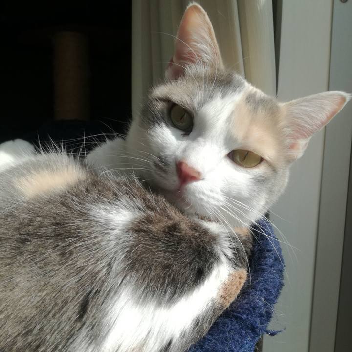 735ebd9e f6e6 4003 a8ec c17f6f5afd67 1554536324716