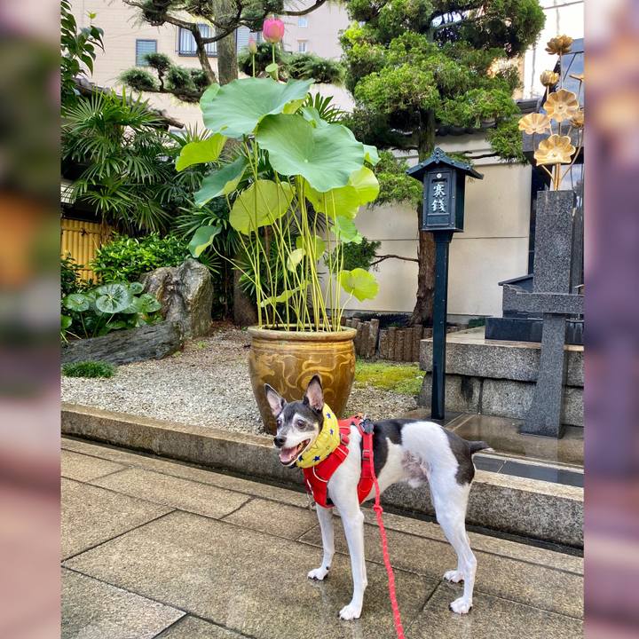 735f0dbb 87d9 47b1 86c4 49e35f1bf4fc 1626486743405