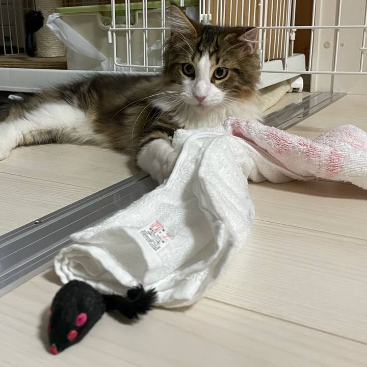 735f1b6f 8996 46b3 a38f 114e3b762ed4 1637013527073