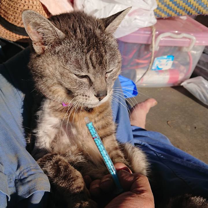 735f49be 2537 4826 bba9 eb93fd903d18 1590790221104