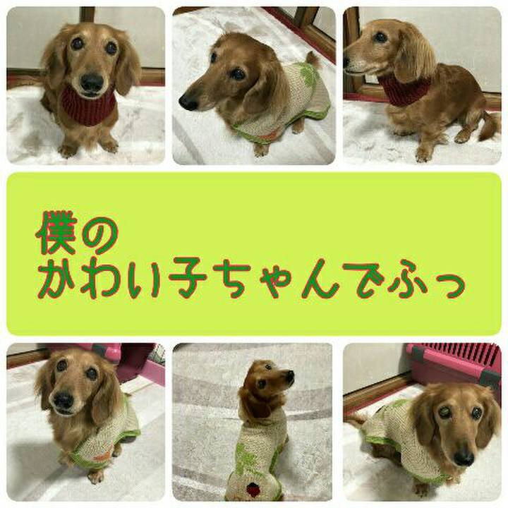 735f7aee b749 4e7e 84a0 a8deb608790d 1544017191749