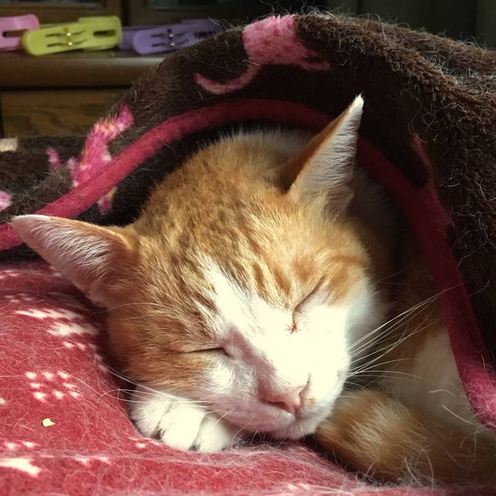 735f82af e739 46ea 91b8 0f0186f53aa3 1567489272140