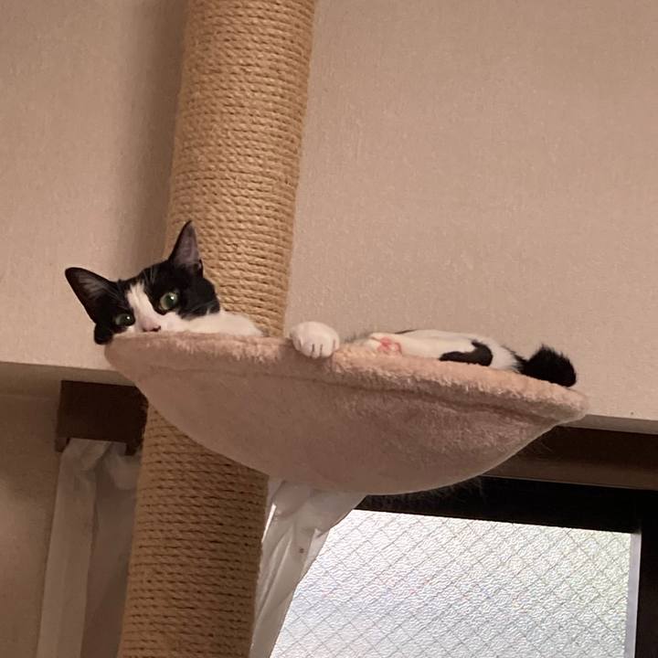 735f83c8 d43e 4984 9d40 40b805549676 1627084357763