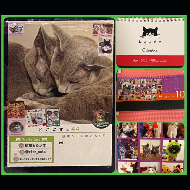 735f951f 261d 4434 80a1 98b51f700439 1644067334429