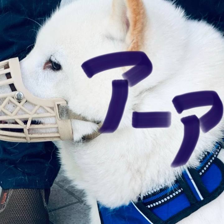 735f9687 f03d 47ea 9b26 57f514b36404 1621373833638