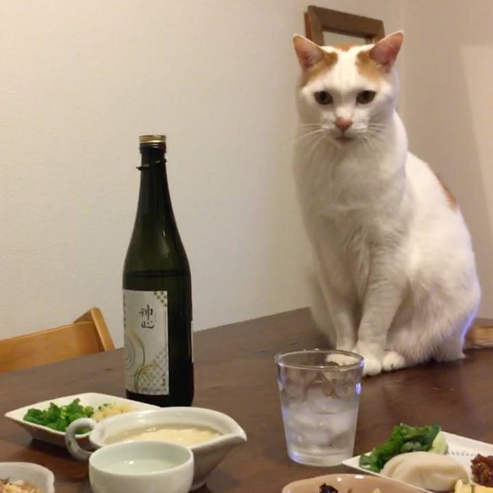 735fc5f0 2854 41bf aa82 d6da7d365b5b 1546329767519