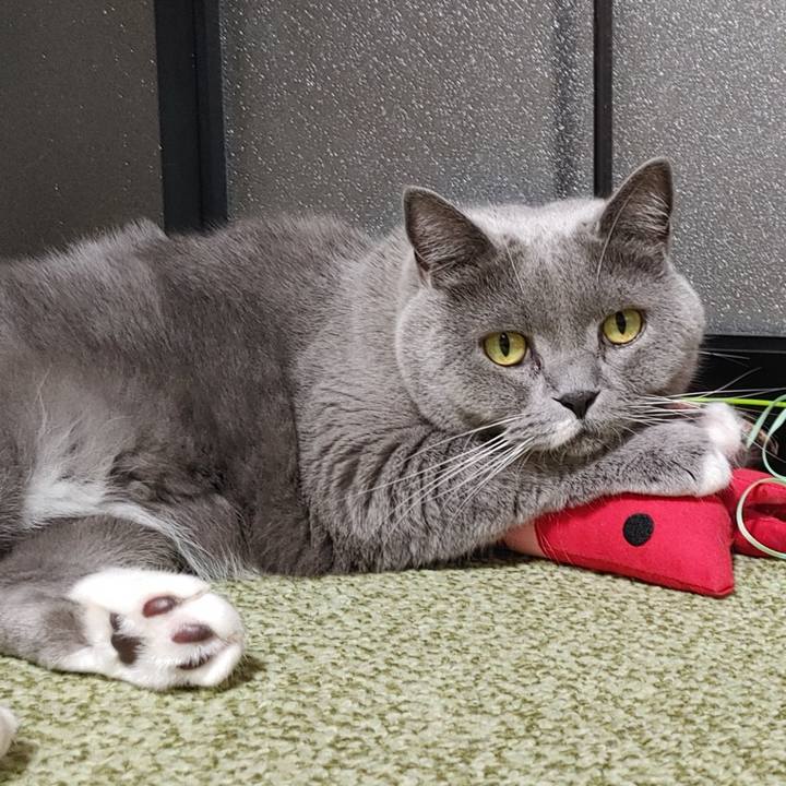 735fea73 26ca 46e9 abd1 cc760d198b34 1667481654821