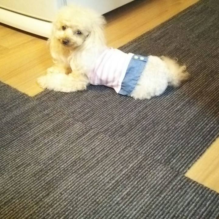 73601518 d9a4 4860 8aeb 35bb0c98e94f 1532350235063