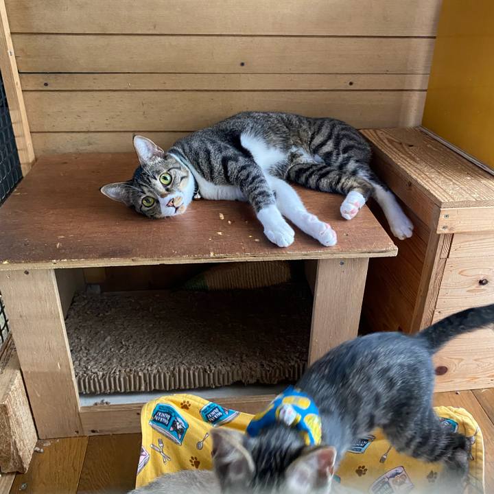 736033f0 c4a6 4dbb 8161 ccc46d7d55c2 1659223629422