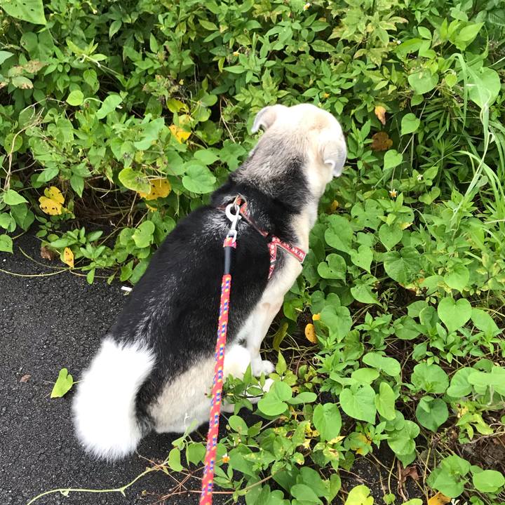 7360556e d088 4cda 9101 cc4a0ccbd7e8 1561459537752