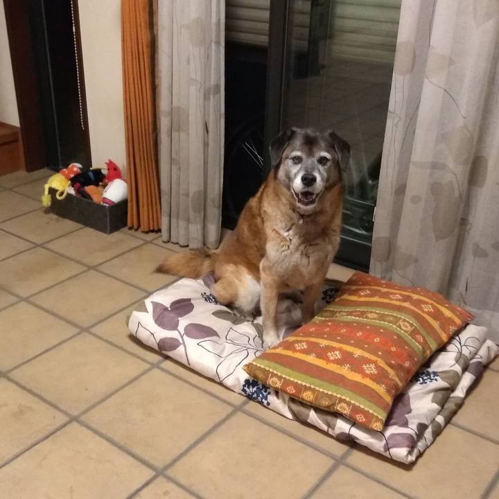 736074dd c5f9 4ded a01c be8dc55fe55e 1561548346647