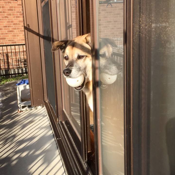 7360c224 bfaf 42e4 a295 19b180e116c3 1540078670831