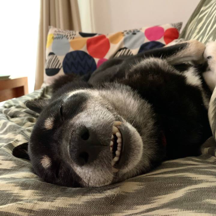 7361007e 2897 4813 b625 60032d9503b1 1595862593729