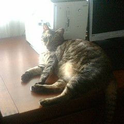 73610787 c073 4d68 8647 4ece2a77bdae 1569283082667