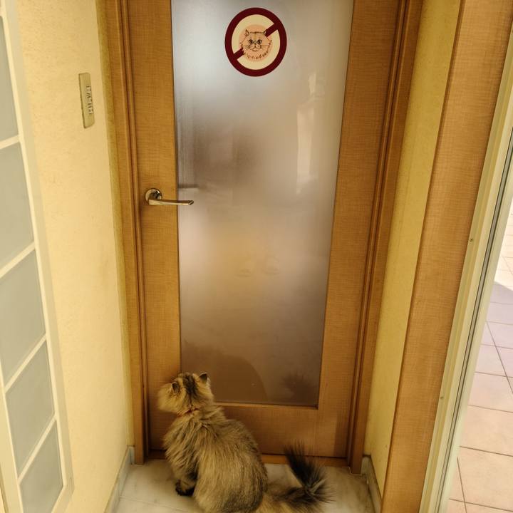 7361083b 204f 4e9f 9fa1 964968af5317 1612828555440