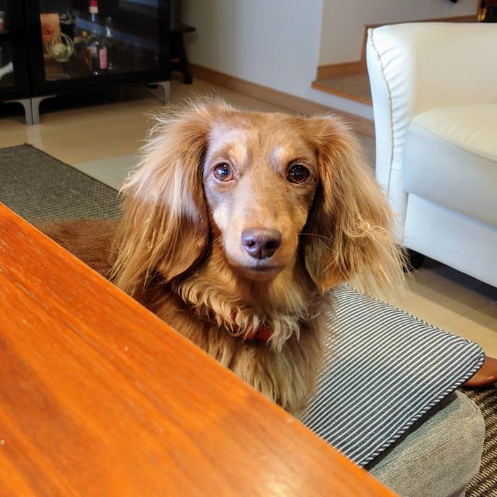 73614e1f c27f 4916 b61b 1a64ca041666 1608346927914