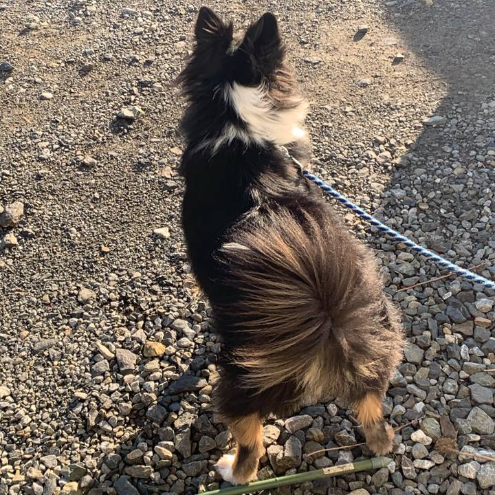 73615309 b8ba 4b75 973a d04230253984 1586555623515