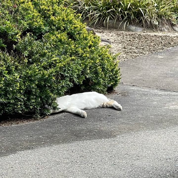 73617820 f624 4e7c bdc4 ef093545c1cd 1632797628204