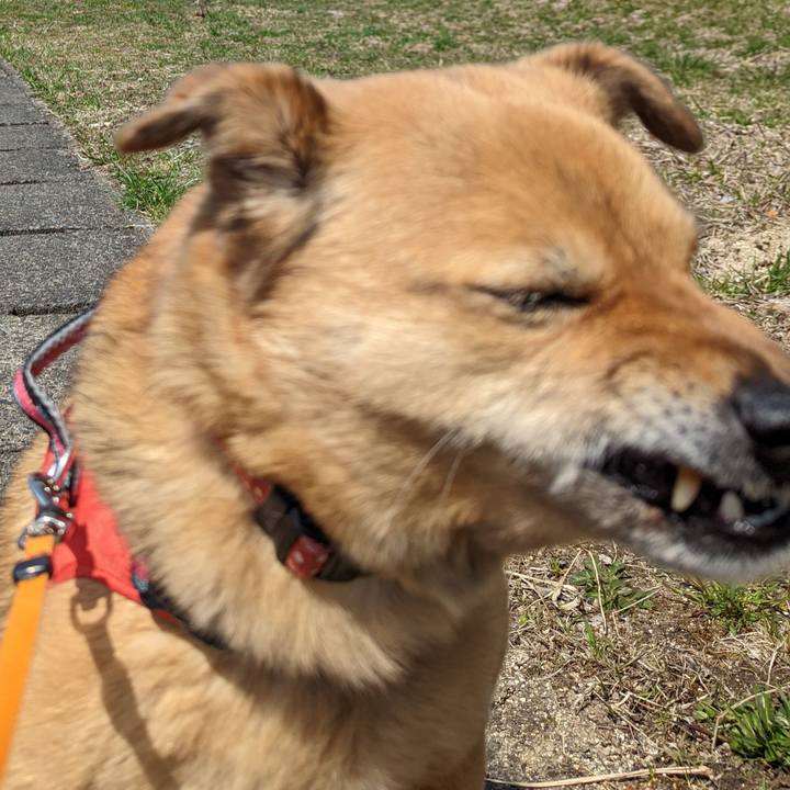 73617b7e cc4a 4e01 913f b4824a9217f2 1649686891407