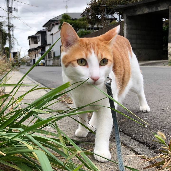 73618c51 a024 4860 ad0b 1e24e24c1e79 1539155292655