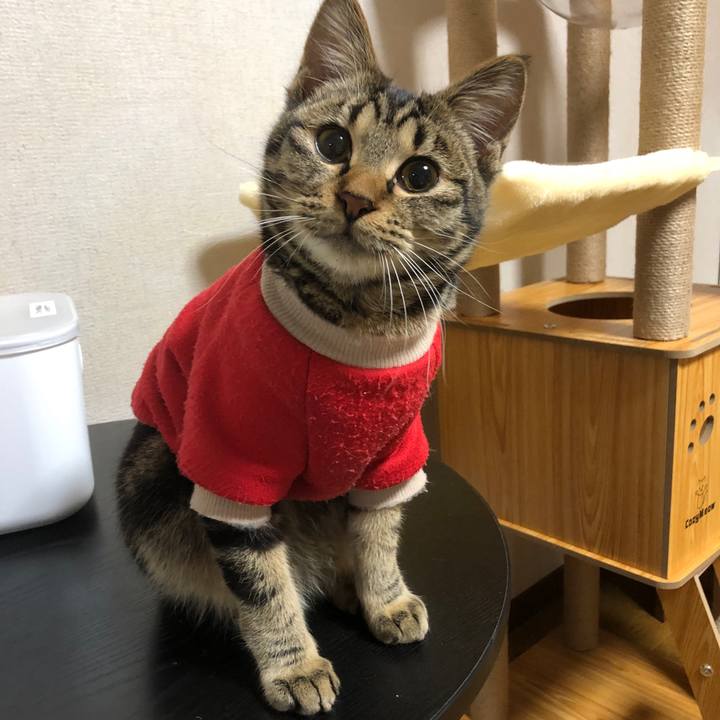 7361bfc8 7ccb 41e6 9221 bb6770642d01 1740488527849