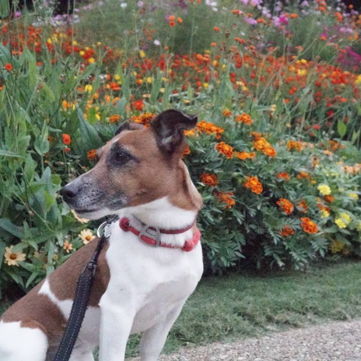 7361db3d f6ed 47db 9ee6 a0f880023512 1570662989931