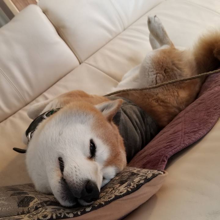 7361f25f aad3 4ce2 9df8 cef41e44080f 1649033204950