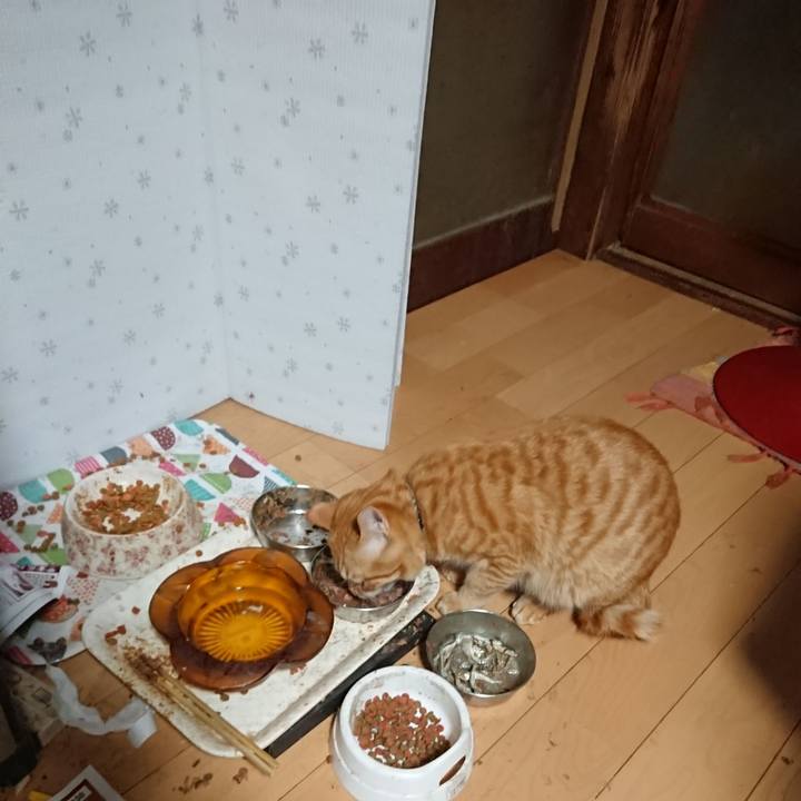 736210c3 535c 42b8 a030 e70d80b4a49c 1647291043215