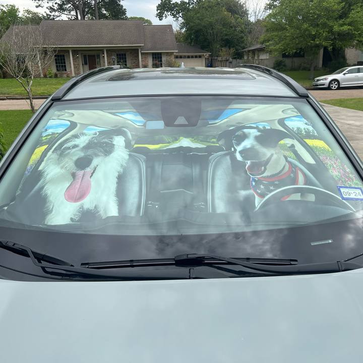 736266b5 379b 4556 bd5c 06afce6e86dd 1710885241273