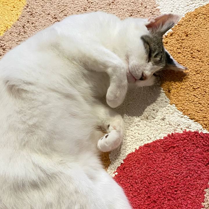 7362867f 1816 473f 9039 8ada709e80da 1662472637236