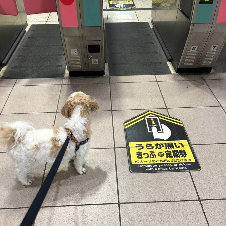 7362d42c e0ab 4465 ae1d f3aad53e05f9 1525481840291