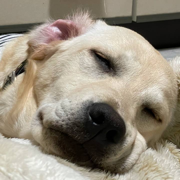 73630d5f 5777 4031 a866 916a3c560161 1621472851937