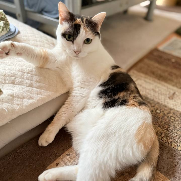 736315b2 0c9f 4d2e be7e 694e7c42bea8 1756952180455