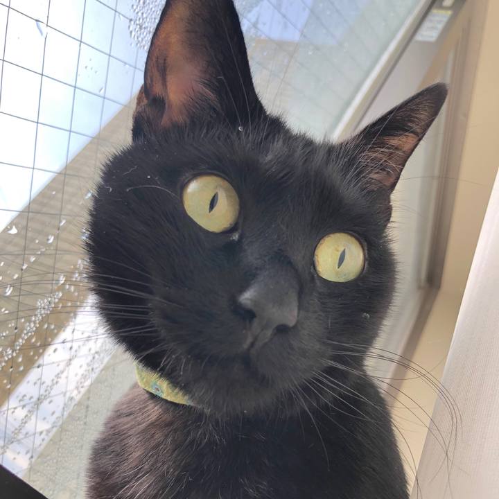 736357c1 0956 4cd2 bf7d 41965cd43d33 1550148240541