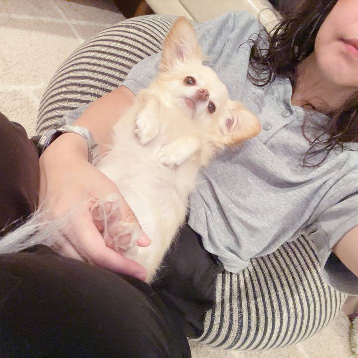 7363632e b2be 43e9 b760 1637c701a91b 1754311729572