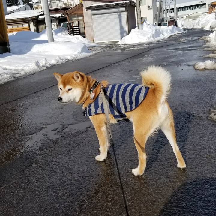 7363657b 6dba 4876 b340 ae5096149c29 1514897061666