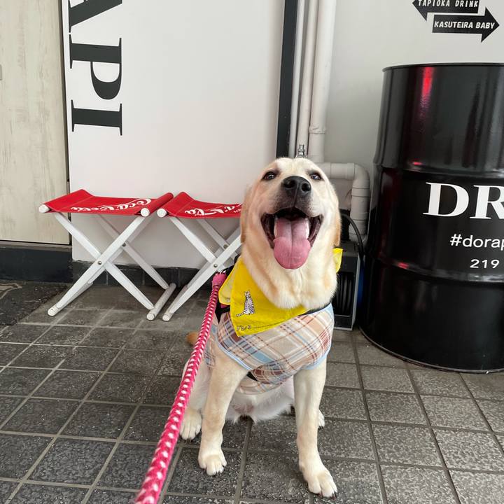 736389f2 d3b0 4f42 8fed 3983da252aac 1625718775341