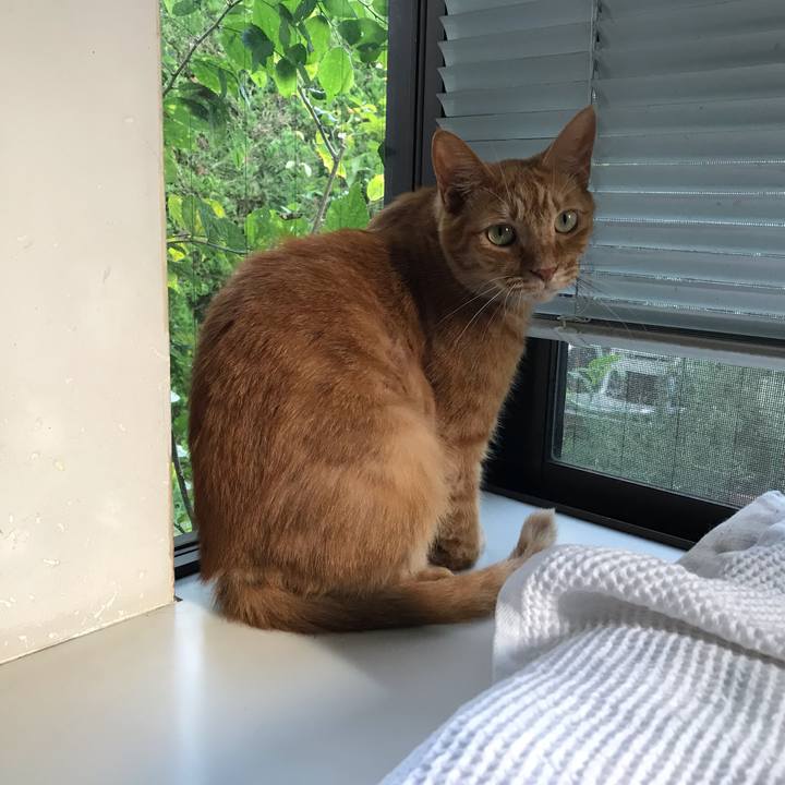 7363cb35 072a 411e 8107 ec7539bdf8e5 1568206874192