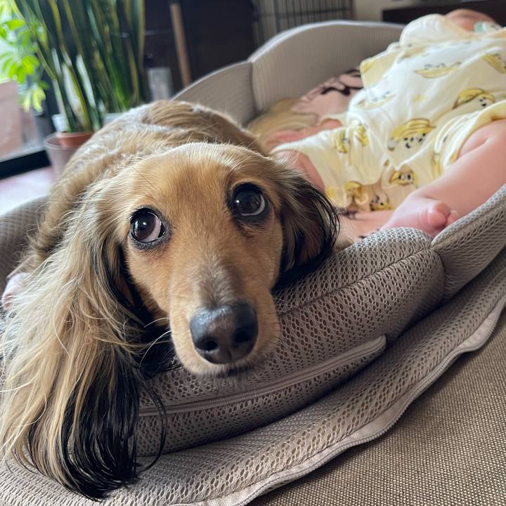 7363d0bb b9c2 4fe7 abb1 0390e337aaf1 1745480732018