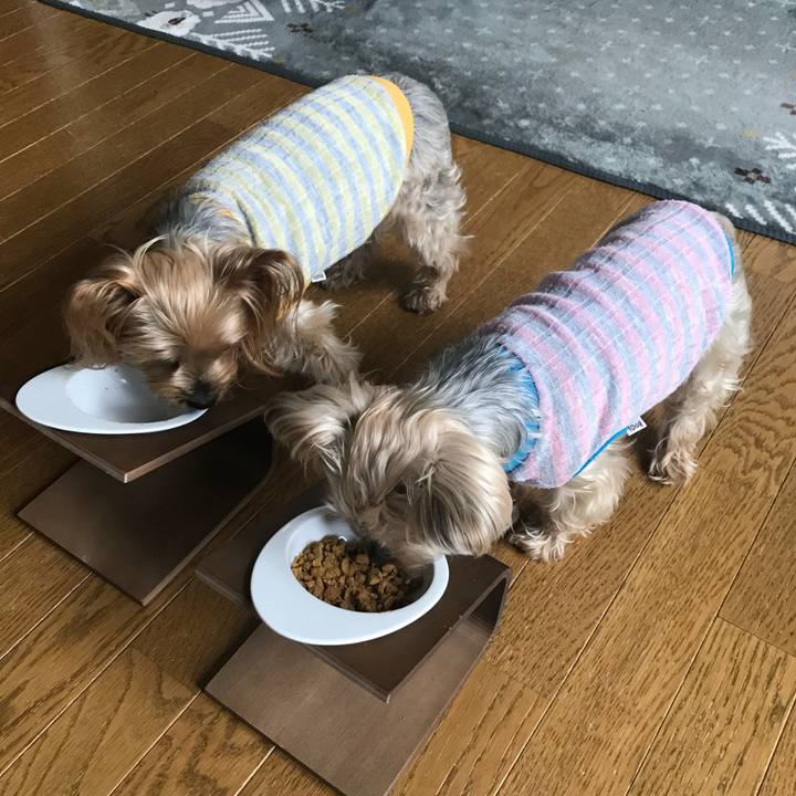 7364084a ff22 4d65 8c61 5e59cc970fef 1773393324203