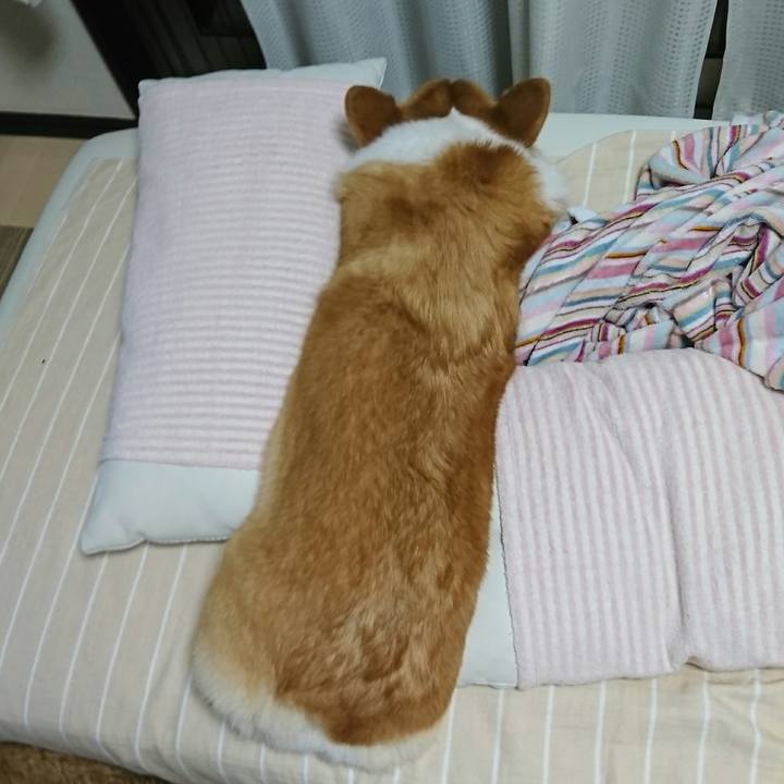 73640850 746f 41a8 9b0c a421e5c0f27b 1555841841068