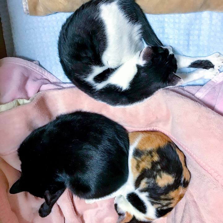 736435e5 13d4 4eae aae4 229af069f5bd 1509891190652