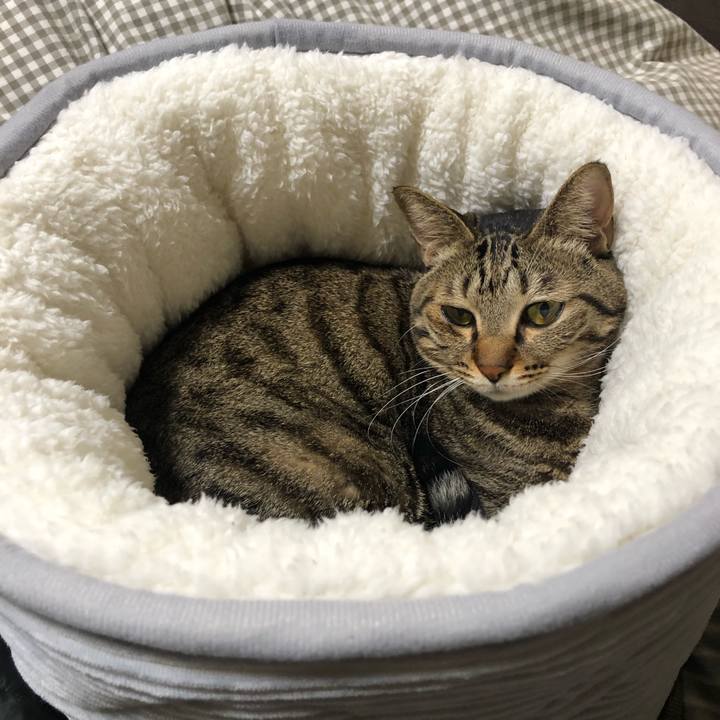 736465dc 4d47 446a 9340 1d1e3007b32d 1577306992142