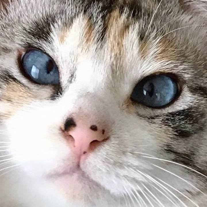 73646651 02a1 4188 aaff 43c7bd77b2b8 1559308302756