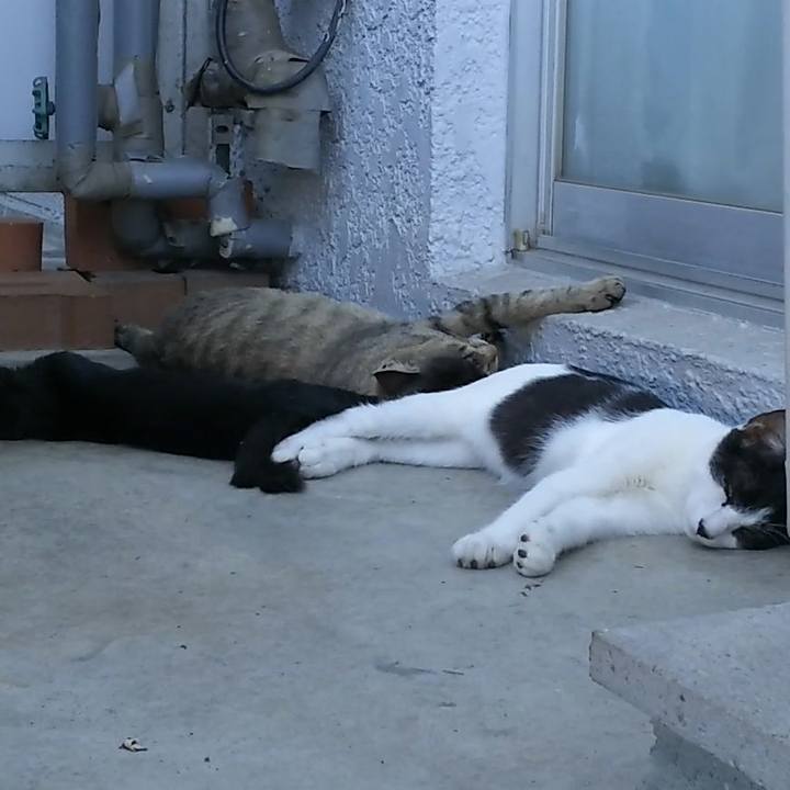 7364c8b0 e386 4ee3 93a1 eebc81b74d9b 1535265660876