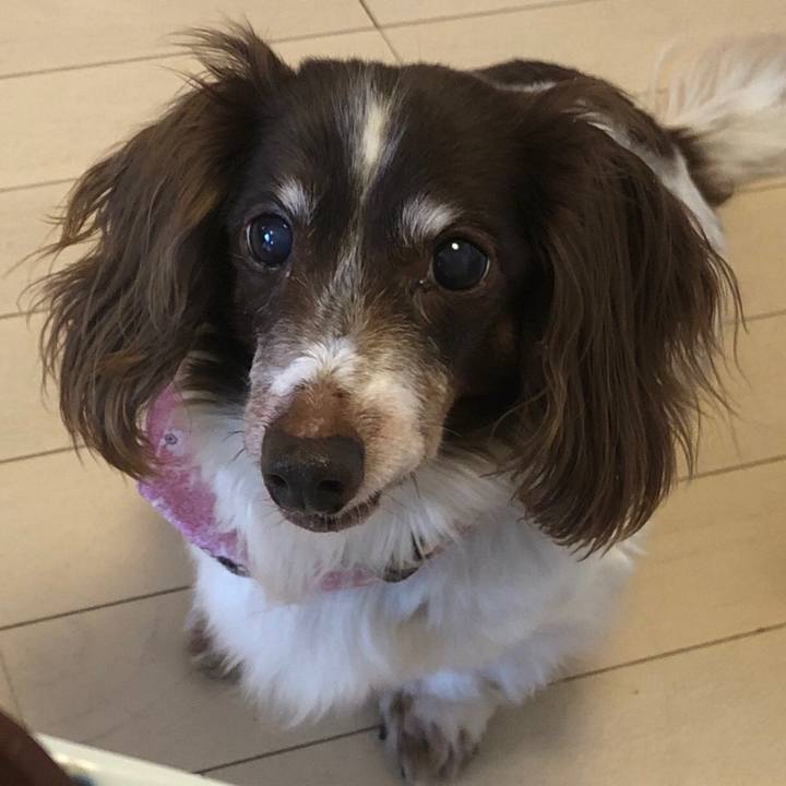 7364cc62 6bd9 4f7b a159 692642b3fc9d 1552704837044