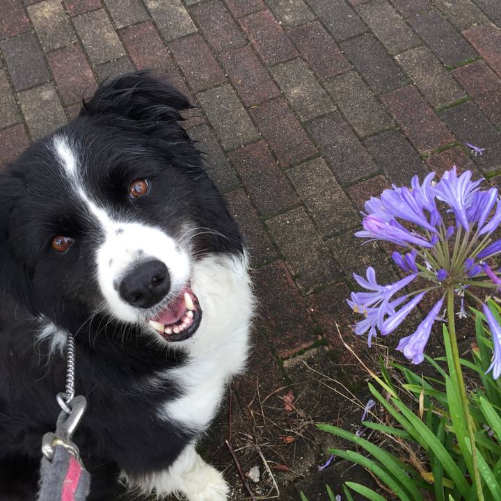 7364f89a 1909 4395 b6e9 b50affbeb090 1561679024968