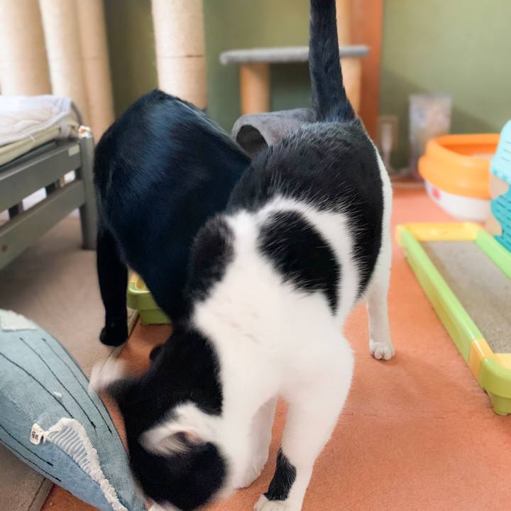 7364f8f9 db23 4702 8573 8b3fa12a9748 1578448311468