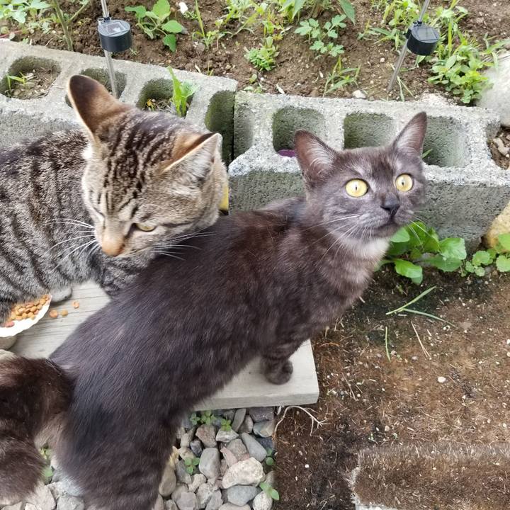 73651409 81bb 4b6c b88a 4ce2eab49764 1593040641848